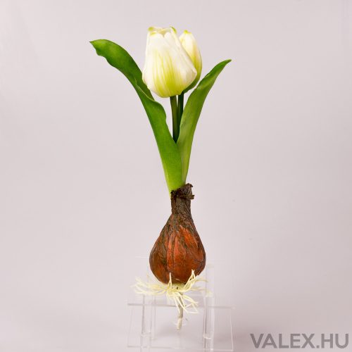 Real touch leszúrható hagymás gumi tulipán 24cm - Cream