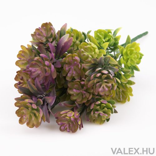 Bouquet of 5-branched houseleek - Dark purple