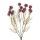 Babérbogyó művirág csokor, 38cm magas - Lila