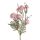 Bloomy rose branch, length: 56cm - Pink