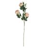 Rose branch with 4 head, length: 64.5cm - Champagne