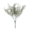 California sage bush, length: 31cm