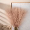 Pampafű műnövény köteg, 10 szálas, 56.6cm magas - Púder bézs