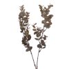 Artificial eucalyptus branch, 38cm high - Cream