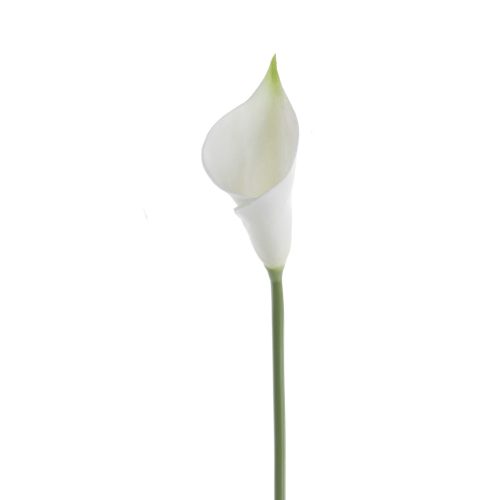 Real touch calla, 50cm long - White