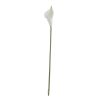 Real touch calla, 50cm high - White