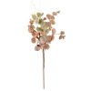 Eucalyptus branch with berries, 51cm tall