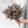 Eucalyptus branch bundle, 5 stems, 39cm tall