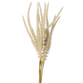 Zsálya köteg, 6 szálas, 50cm magas - Bézs