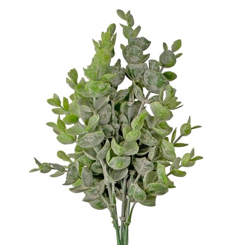 Eucalyptus bouquet, 30cm tall, 5 branches, green