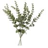 Eucalyptus bundle, 10 stems, 34cm tall - Green