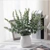 Eucalyptus bundle, 10 stems, 34cm tall - Green