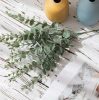 Eucalyptus bundle, 10 stems, 34cm tall - Green