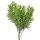 Frosted asparagus bouquet, thick-leaved, 38cm tall