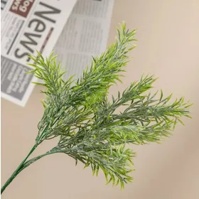 Hamvas aszparágusz csokor, vastaglevelű, 38cm magas