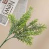 Frosted asparagus bouquet, thick-leaved, 38cm tall