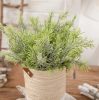 Frosted asparagus bouquet, thick-leaved, 38cm tall