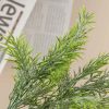 Frosted asparagus bouquet, thick-leaved, 38cm tall