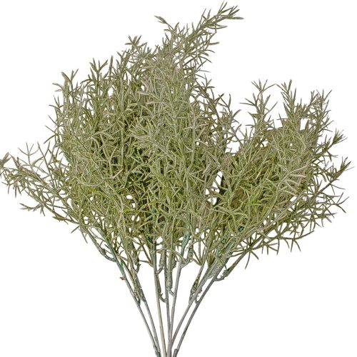 Frosted asparagus bouquet, 35cm tall, 7 branches