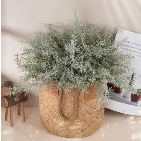 Hamvas aszparágusz csokor, 35cm magas, 7 ágú