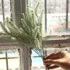 Frosted Dogtail Grass, Decorative Artificial Plant, 32cm Tall