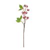 Rosehip branch, 36cm tall - Rose red
