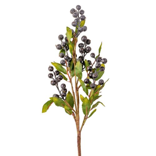 Blueberry branch with blue berries, 66cm tall