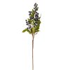 Blueberry branch with blue berries, 66cm tall