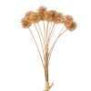 Metallic gold thorn ball branch bundle, 12 stems, 30cm tall