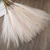 Pampas Grass Bundle, 10 Stems, 48cm Tall - Ecru