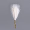 Pampas Grass Bundle, 10 Stems, 48cm Tall - Ecru