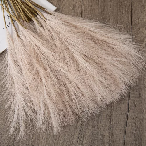 Pampafű köteg, 10 szál, 48cm magas - Púder barna 