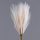 Pampas Grass Bundle, 10 Stems, 48cm Tall - Beige