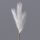 4-Stem Pampas Grass Branch, 58cm Tall - Ecru