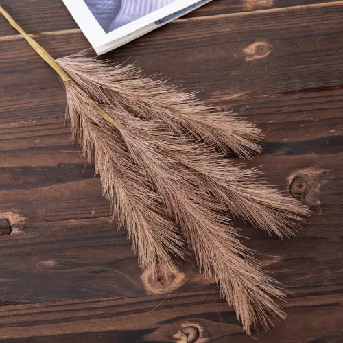 4 ágú pampafű ág, 58cm magas - Barna