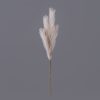 4-Stem Pampas Grass Branch, 58cm Tall - Beige