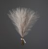 Silver Metallic Pampas Grass Bundle, 20 Stems, 45cm Tall - Beige