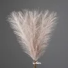 Ezüstös metál pampafű köteg, 20 szál, 45cm magas - Pezsgő