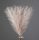 Silver Metallic Pampas Grass Bundle, 20 Stems, 45cm Tall - Champagne