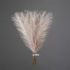 Ezüstös metál pampafű köteg, 20 szál, 45cm magas - Pezsgő