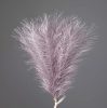 Silver Metallic Pampas Grass Bundle, 20 Stems, 45cm Tall - Purple