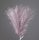 Silver Metallic Pampas Grass Bundle, 20 Stems, 45cm Tall - Purple