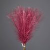 Silver Metallic Pampas Grass Bundle, 20 Stems, 45cm Tall - Rose Red