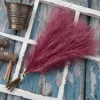 Ezüstös metál pampafű köteg, 20 szál, 45cm magas - Rose red