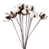 Cotton Decorative Branch Bundle, 10 Stems, 44cm Tall