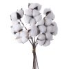 Cotton Decorative Branch Bundle, 10 Stems, 34cm Tall