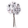 Cotton Decorative Branch Bundle, 10 Stems, 34cm Tall