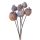 Poppy Decorative Branch Bundle, 25cm Tall, 6 Stems - Brown