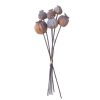 Poppy Decorative Branch Bundle, 25cm Tall, 6 Stems - Brown