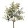 Eucalyptus Artificial Plant Branch, 33cm Tall - Ecru